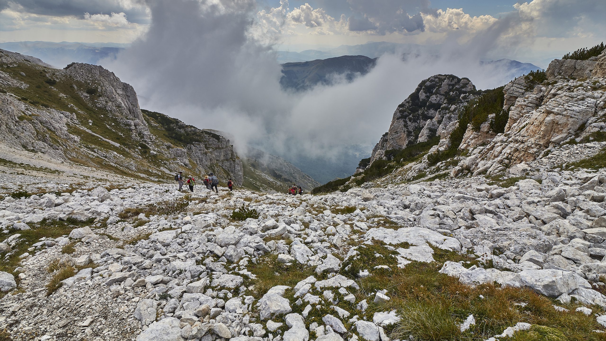 altaquota13