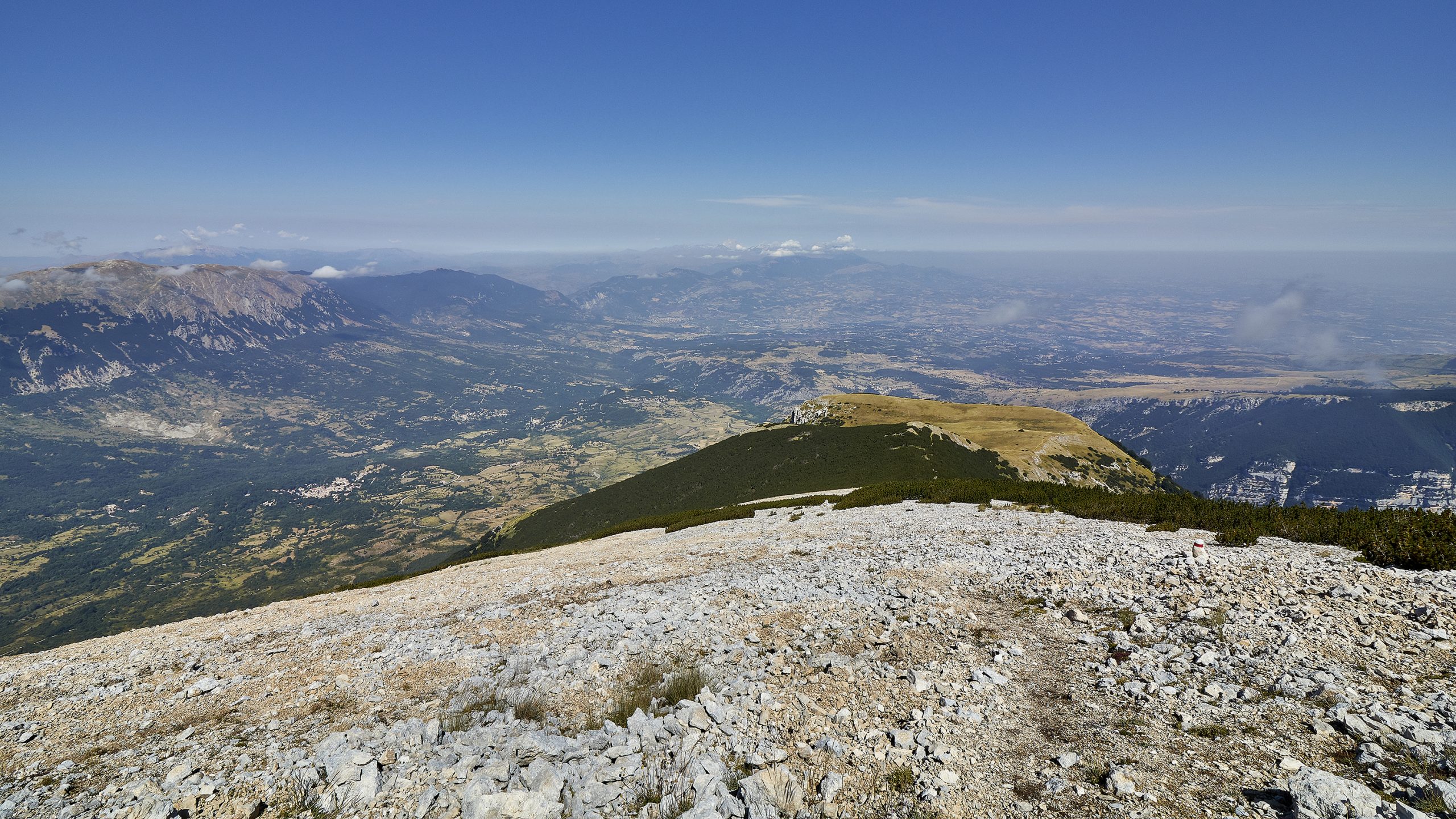 altaquota36